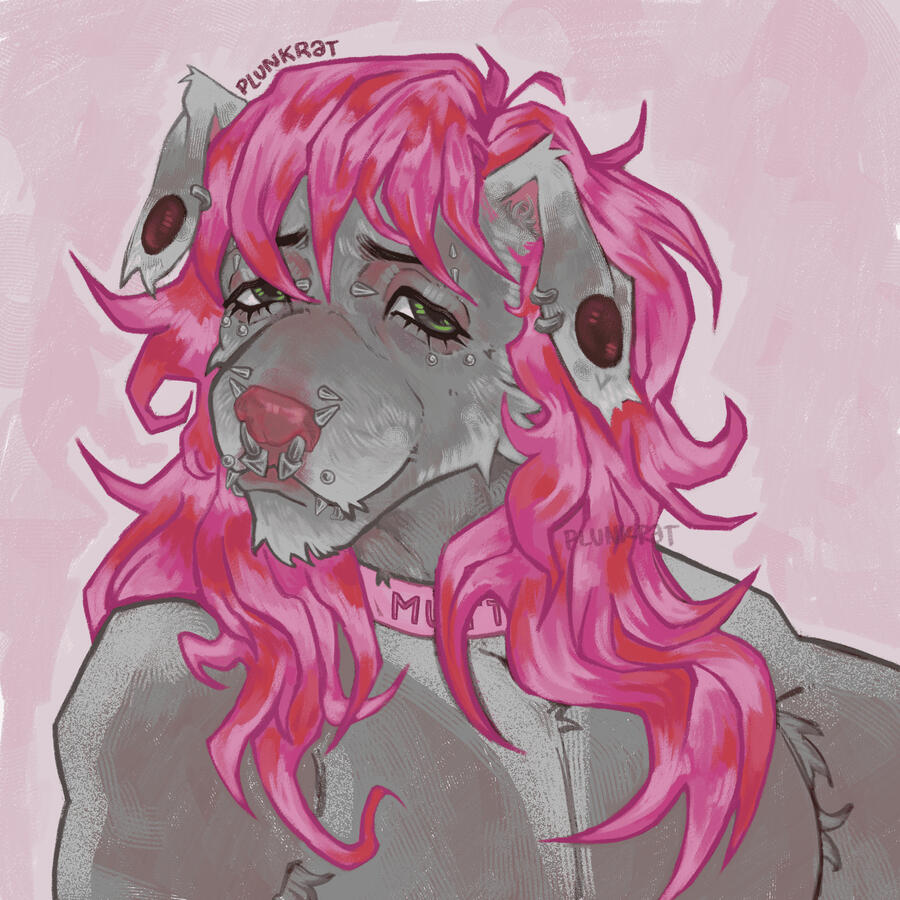 sona icon sona icon